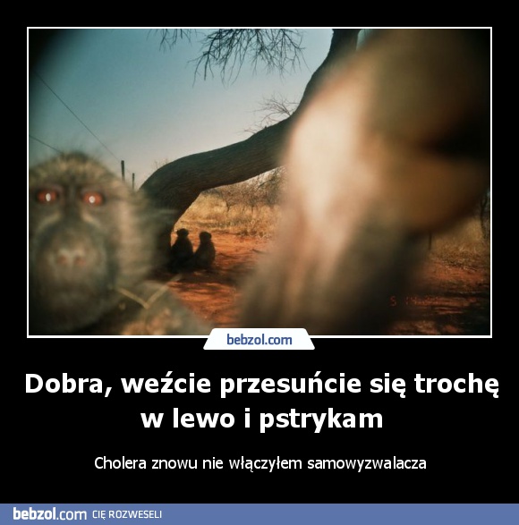 Dobra, weźcie przesuńcie się trochę w lewo i pstrykam