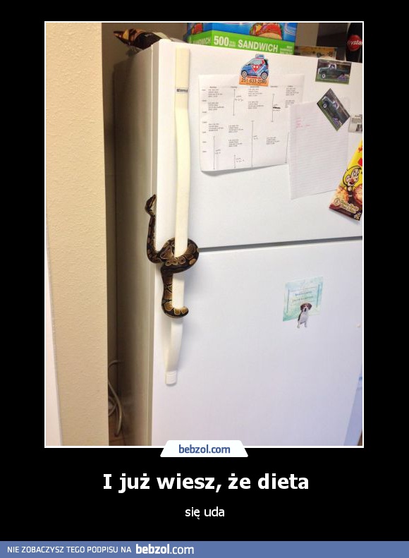 I już wiesz, że dieta