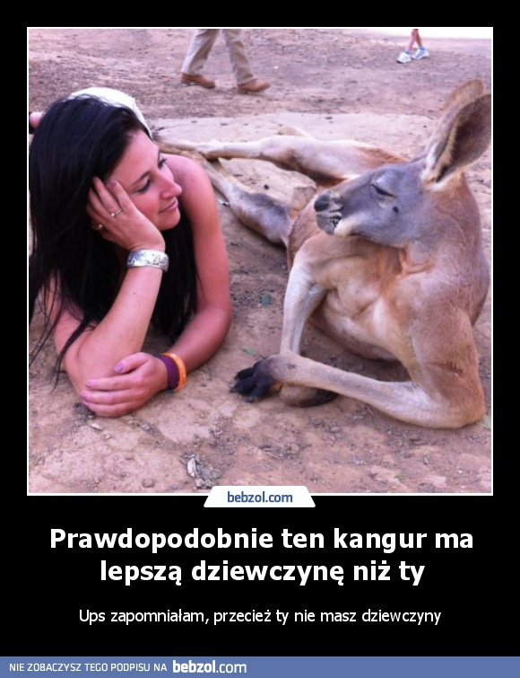 Prawdopodobnie ten kangur ma lepszą dziewczynę niż ty