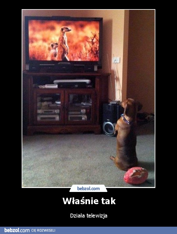 Właśnie tak