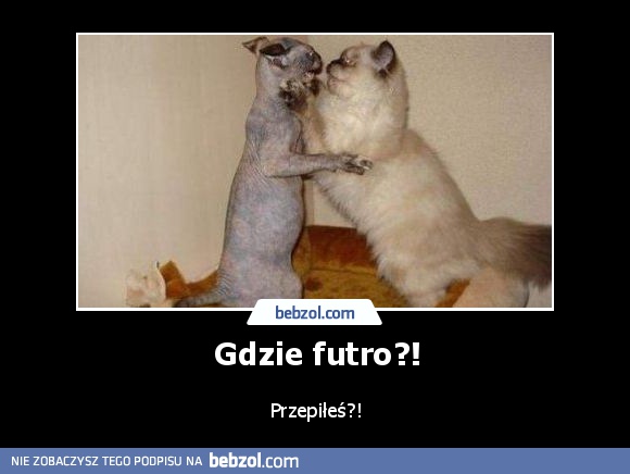 Gdzie futro?!