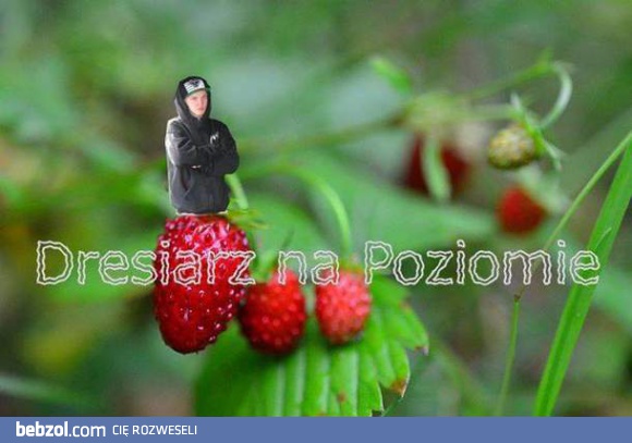 Dresiarz na poziomie