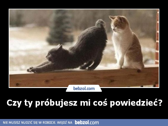 Czy ty próbujesz mi coś powiedzieć?