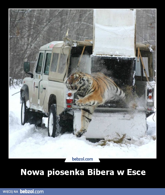 Nowa piosenka Bibera w Esce