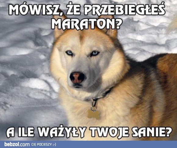 Przebiegłeś maraton?