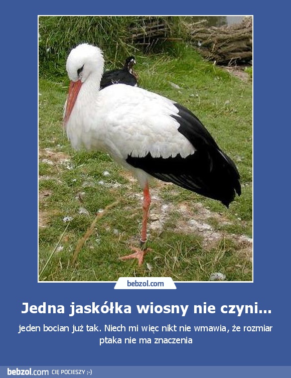 Jedna jaskółka wiosny nie czyni...