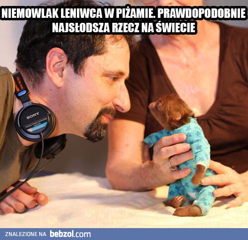 Najsłodszy widok na świecie!