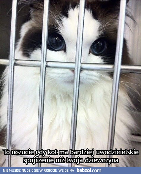 Uwodzicielskie spojrzenie