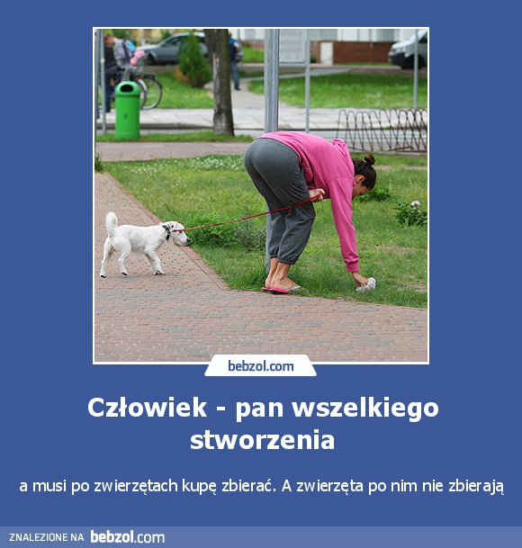 Człowiek - pan wszelkiego stworzenia
