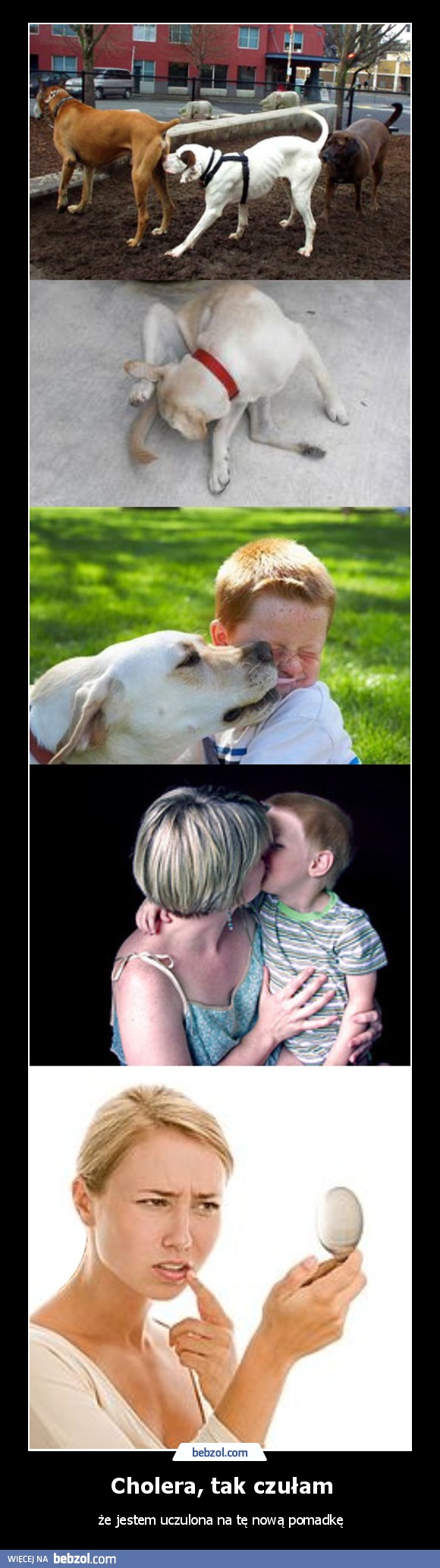Cholera, tak czułam