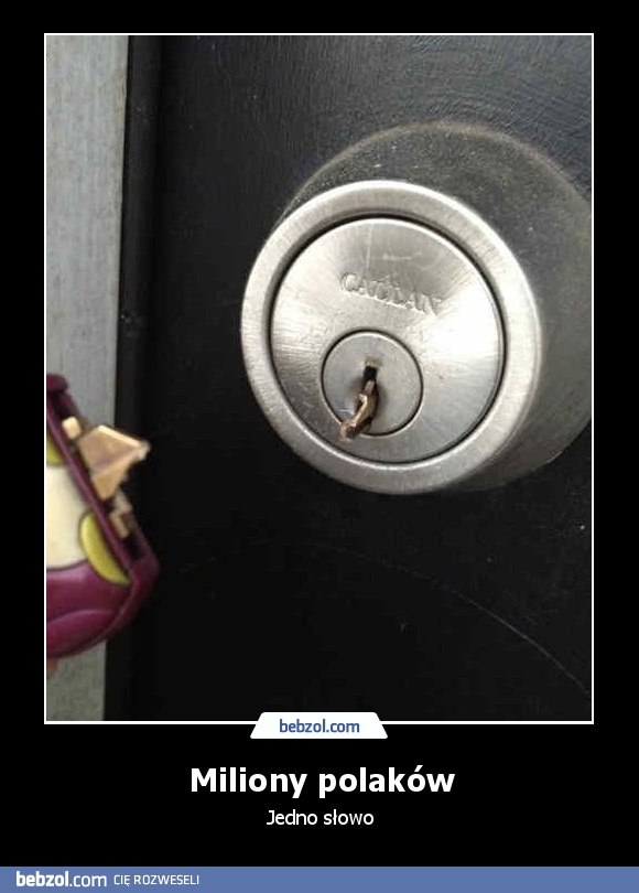 Miliony polaków