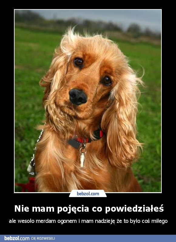 Nie mam pojęcia co powiedziałeś