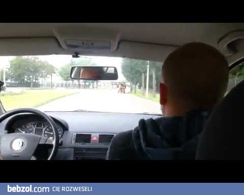 Trochę męskiego szaleństwa