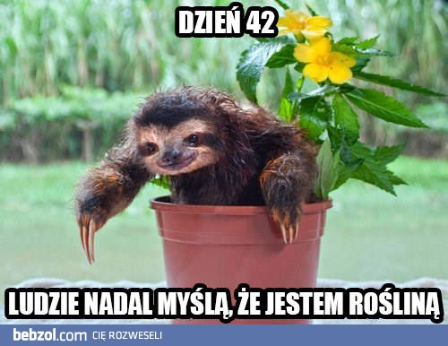 Jeszcze się nie domyślili