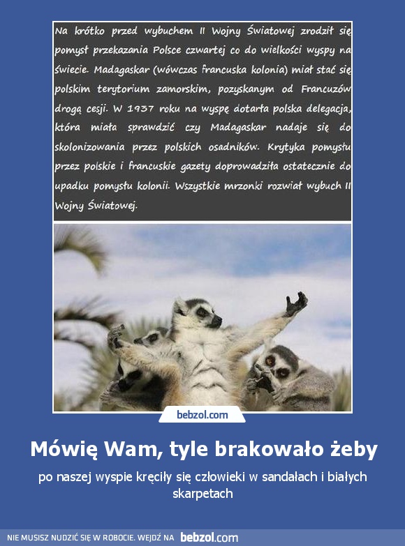 Mówię Wam, tyle brakowało żeby