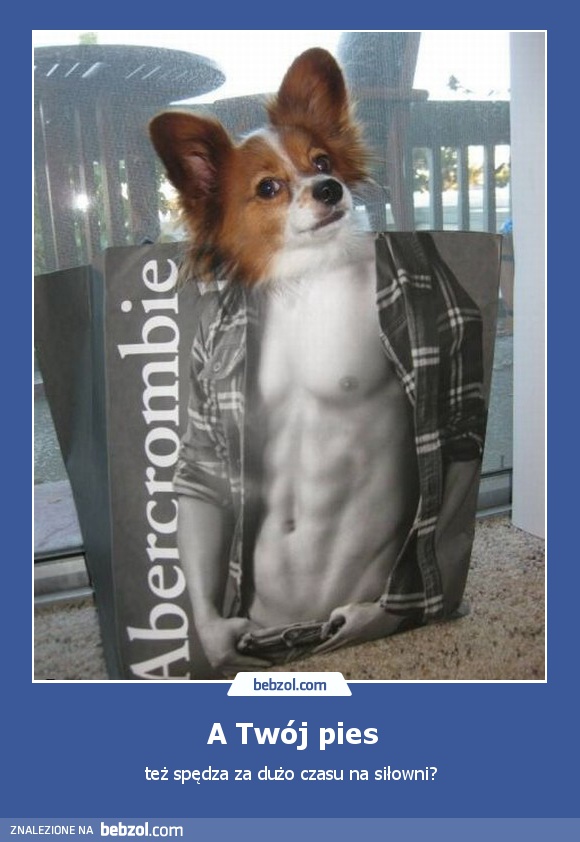 A Twój pies