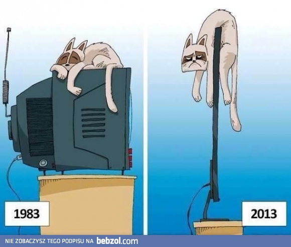 Nawet koty z roku na rok mają gorzej