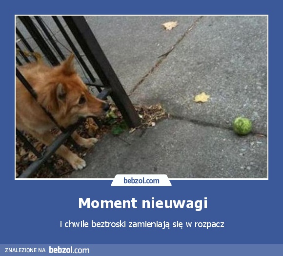 Moment nieuwagi