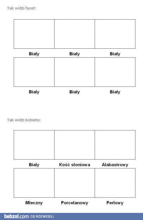 Jak widzi kolory kobieta, a jak widzi mężczyzna