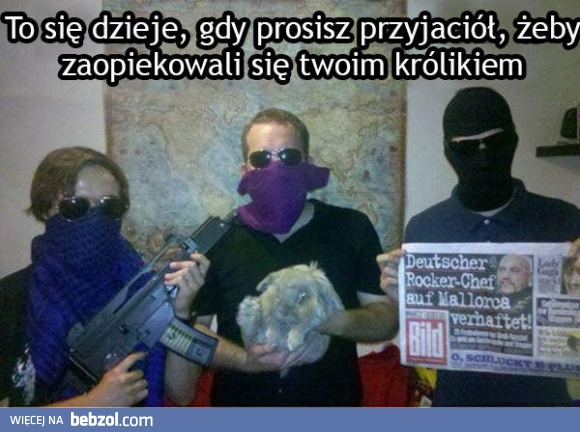 Koledzy zaopiekowali się królikiem