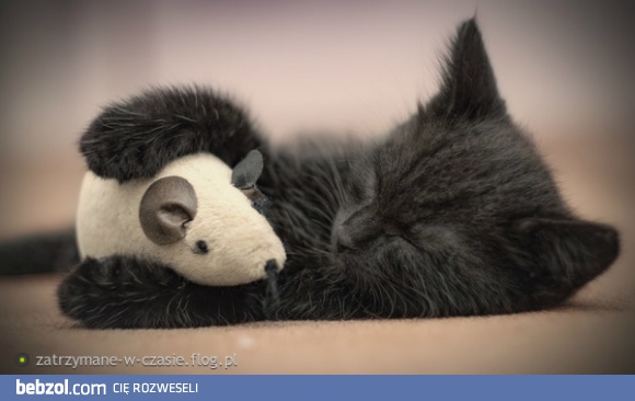  po ciężkiej pracy czas na odpoczynek ;)