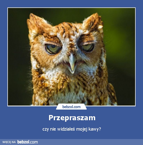 Przepraszam