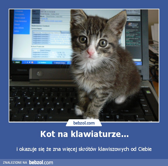 Kot na klawiaturze...