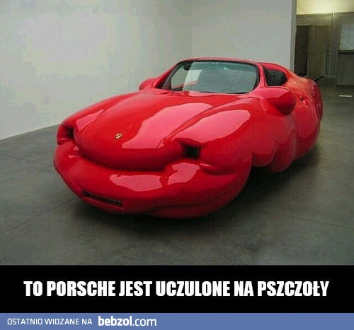 Porsche ma alergię