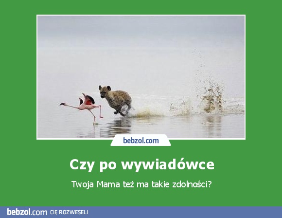 Czy po wywiadówce