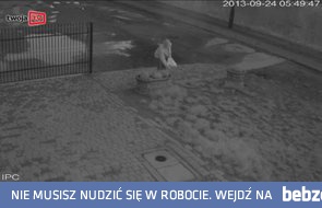 Chytra baba z Jarosławia