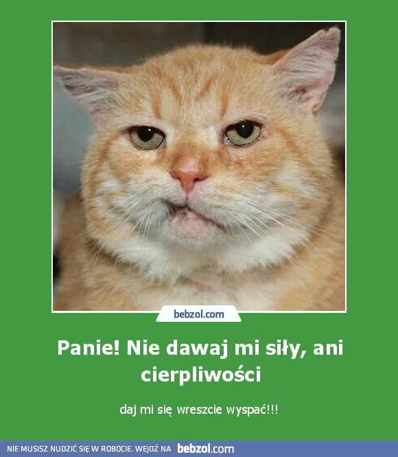 Panie! Nie dawaj mi siły, ani cierpliwości