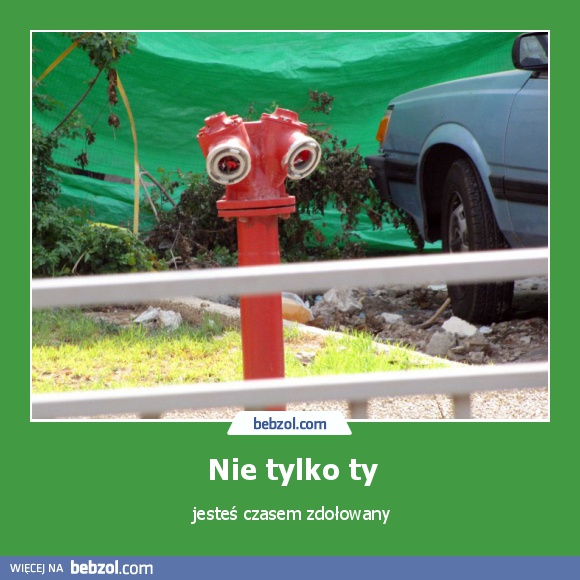 Nie tylko ty
