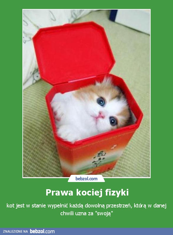 Prawa kociej fizyki