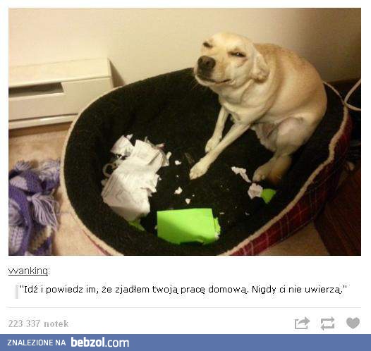 I się nie wytłumaczysz