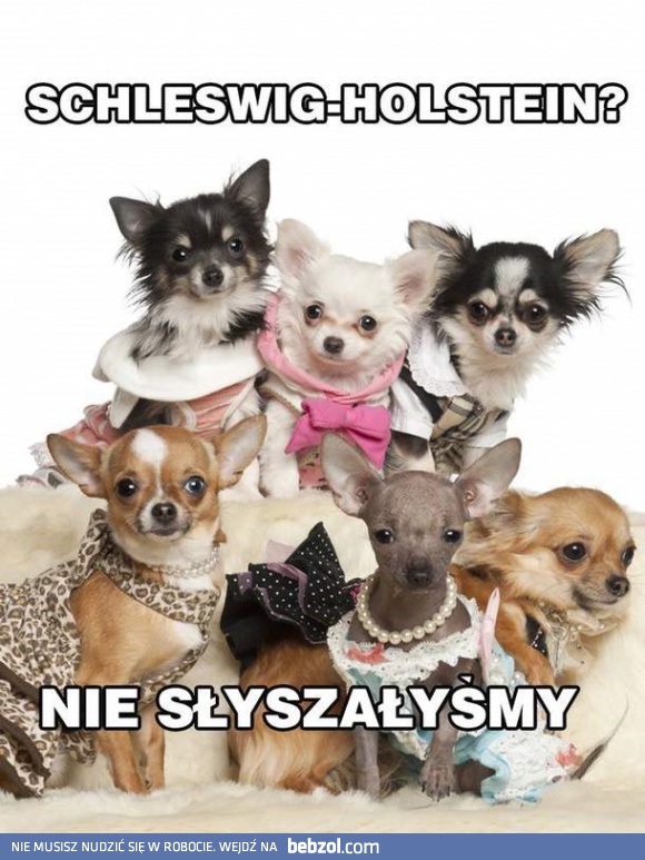 Blogerzy i jutuberzy o modzie