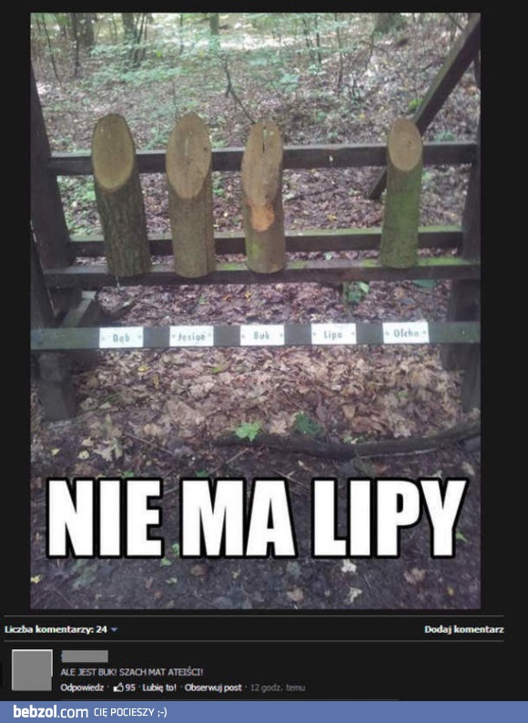 Nie ma lipy!