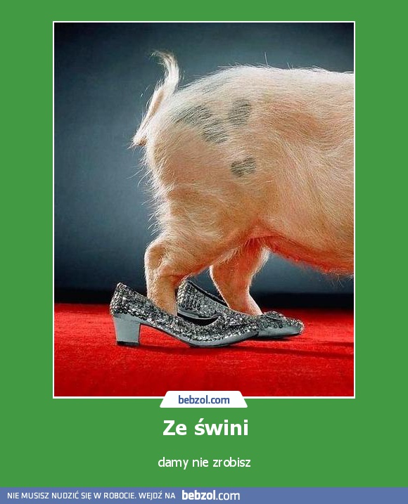 Ze świni