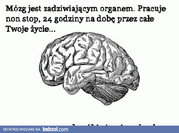 Mózg jest zadziwiającym organem