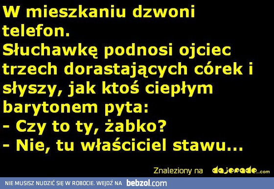 Czy to Ty żabko?