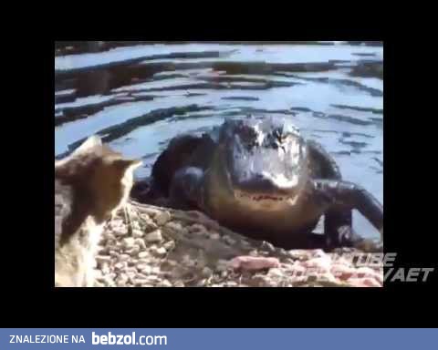 Soul Plane Video - 2013 Best fun this week