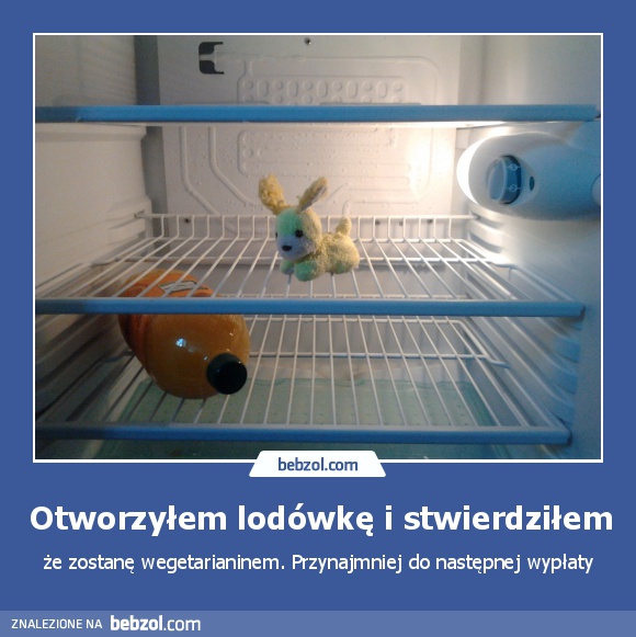 Otworzyłem lodówkę i stwierdziłem