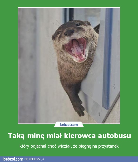 Taką minę miał kierowca autobusu