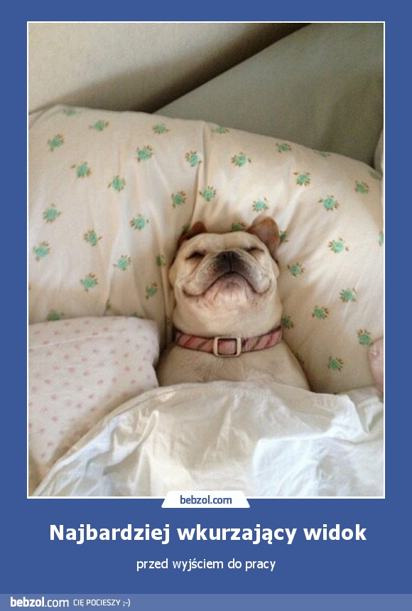 Najbardziej wkurzający widok