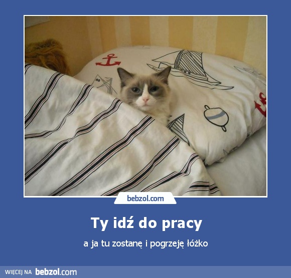 Ty idź do pracy