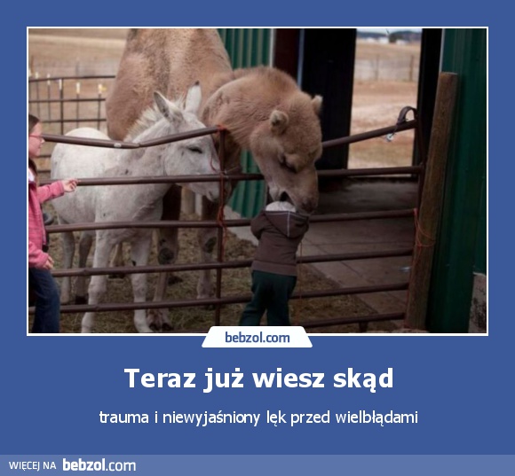 Teraz już wiesz skąd