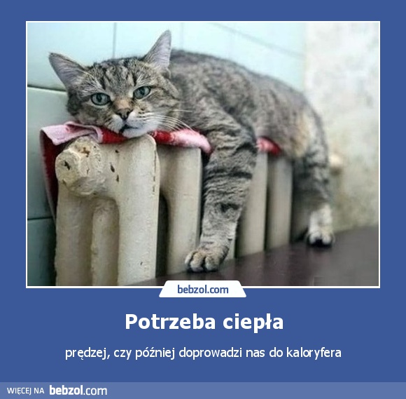 Potrzeba ciepła