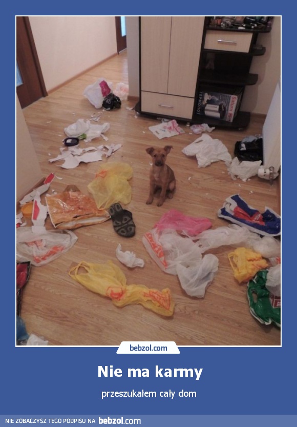 Nie ma karmy