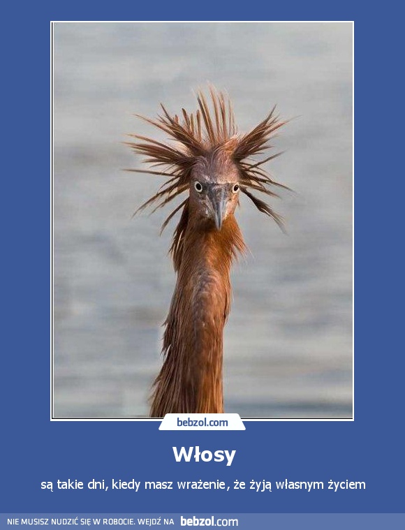 Włosy
