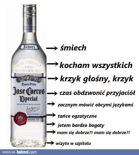 Jak działa wódka