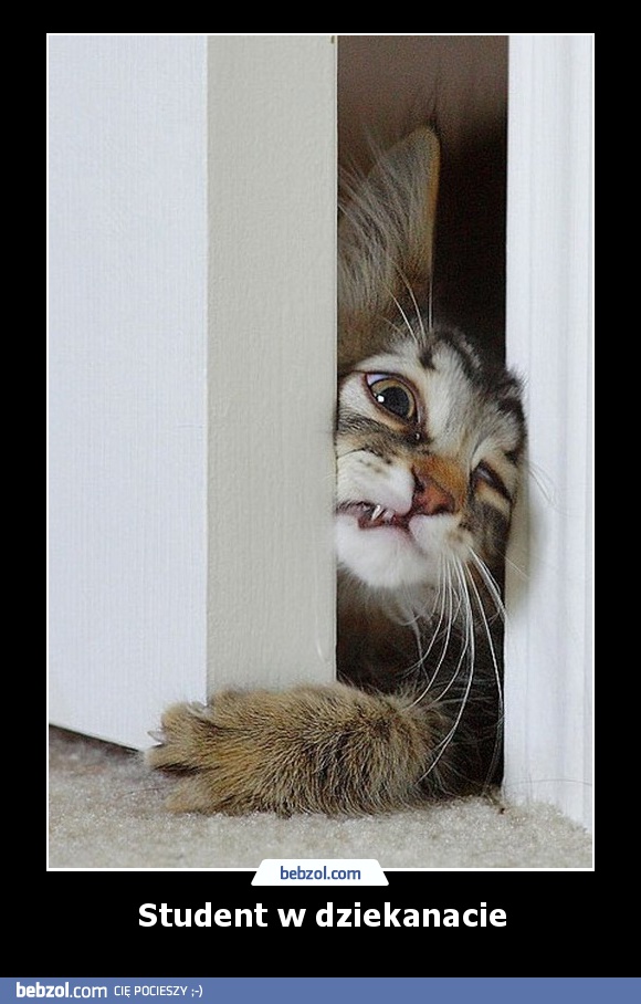 Student w dziekanacie